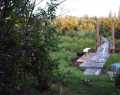 A bridge over a creek off the Wisconsin river