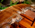 Black Walnut Coffee Table